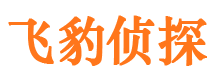 鲤城市婚外情调查